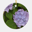 Search for mauve ornaments Floral