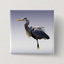 Search for herons buttons Bird