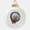 Search for bichon frise ornaments Xmas