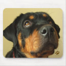 Recherche de chien rottweiler tapis souris Pourtie