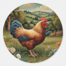 Search for vintage chickens stickers Farming