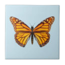 Recherche de insectes carreaux Ailes