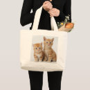 Recherche de chat de gingembre sacs Mignon