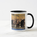 Recherche de omnivore tasses Carnivore
