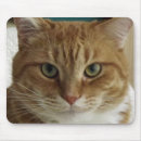 Search for tabby mousepads Kitty