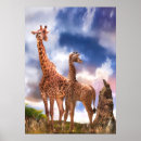 Search for animal kids posters Meerkat