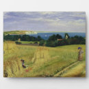 Search for field plaques Summer