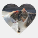 Search for cuddle stickers Animal
