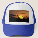 Search for giraffe hats Nature