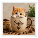Recherche de chaton posters Orange