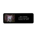 Search for path return address labels Forest