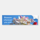 Search for blossoming bumper stickers For her