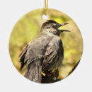 Search for wildlife ornaments Black