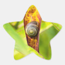 Search for snails shell stickers Nature