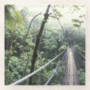 Search for costa rica coasters Tropical