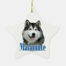Recherche de alaskan malamute ornements Malamute en alaska