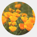 Search for california state park stickers Usa