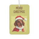 Search for dachshund car accessories Cute