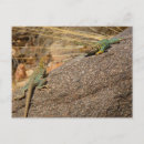 Recherche de lézard cartes postales Nature