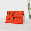 Search for giant holiday cards Flowers