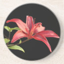Search for summery barware Flowers