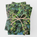 Search for vine wrapping paper Greenery