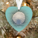 Search for sand dollar ornaments Beach