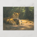 Recherche de denner posters Lions