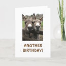 Search for attentiveness cards Friend