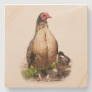 Search for chicken coasters Vintage
