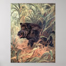 Search for wild boar art Pigs