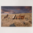 Recherche de cheval course puzzles Mustang