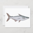 Search for catfish postcards River