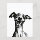 Search for whippet dog postcards Sighthound