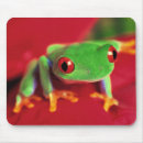 Recherche de grenouille verte tapis souris Animal