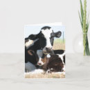 Recherche de vache holstein vœux cartes Lait