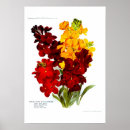 Search for wallflower Vintage