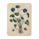 Search for violet floral magnets Botanical