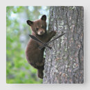 Search for wildlife clocks Animal lover