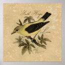 Recherche de oiseaux posters Espoir