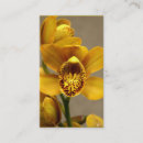Recherche de orchidee cartes visite Photographie