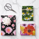 Search for african daisy gift wrap For her
