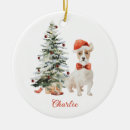 Search for jack russell ornaments Pet