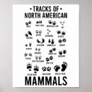Search for mugs posters Hiking and camping