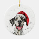 Search for great dane ornaments Santa