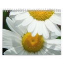 Search for daisy calendars nature