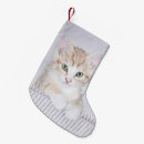 Recherche de chat orange chaussette de noël Mignon
