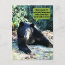 Recherche de ours noir cartes postales Porter