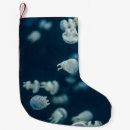 Search for photography christmas stockings Moments