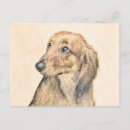 Search for hirsute postcards Dachshund